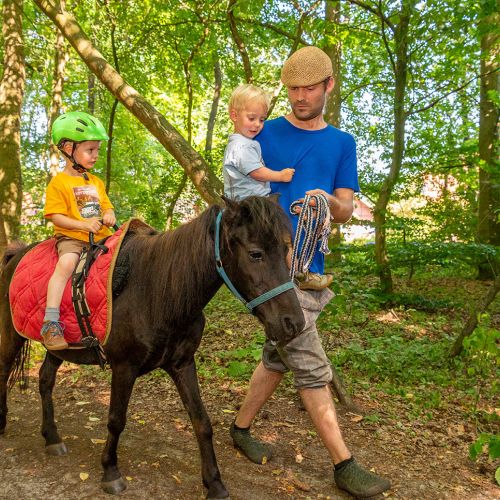 Kinder mit Pony