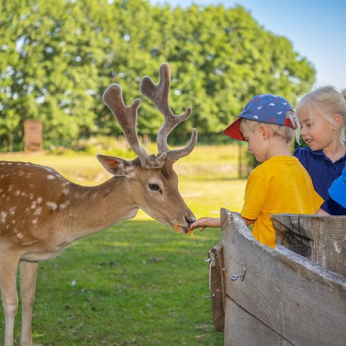 Kinder mit Hirsch